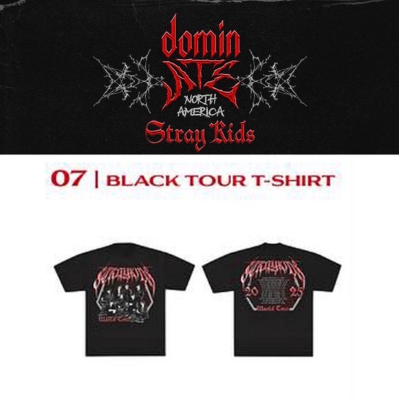 Stray Kids Tops - 2025 Stray Kids dominATE NORTH AMERICA Black Tour T-shirt NWOT
